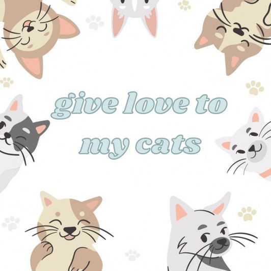 give love to my cats