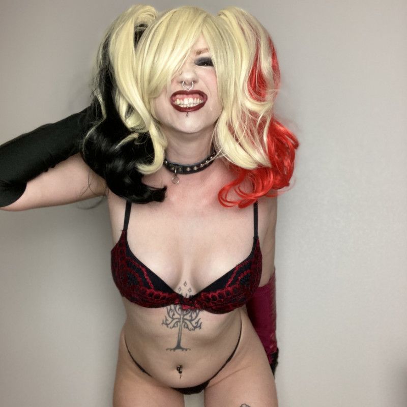 Arkham City Harley Quinn DP