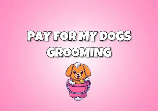 Cover My Dogs Grooming