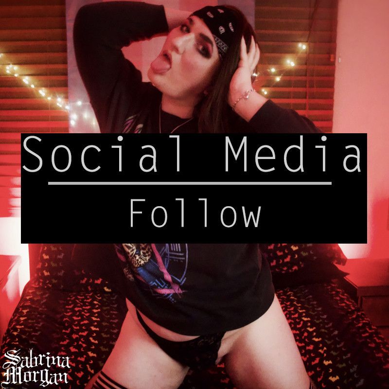 Social Media Follow