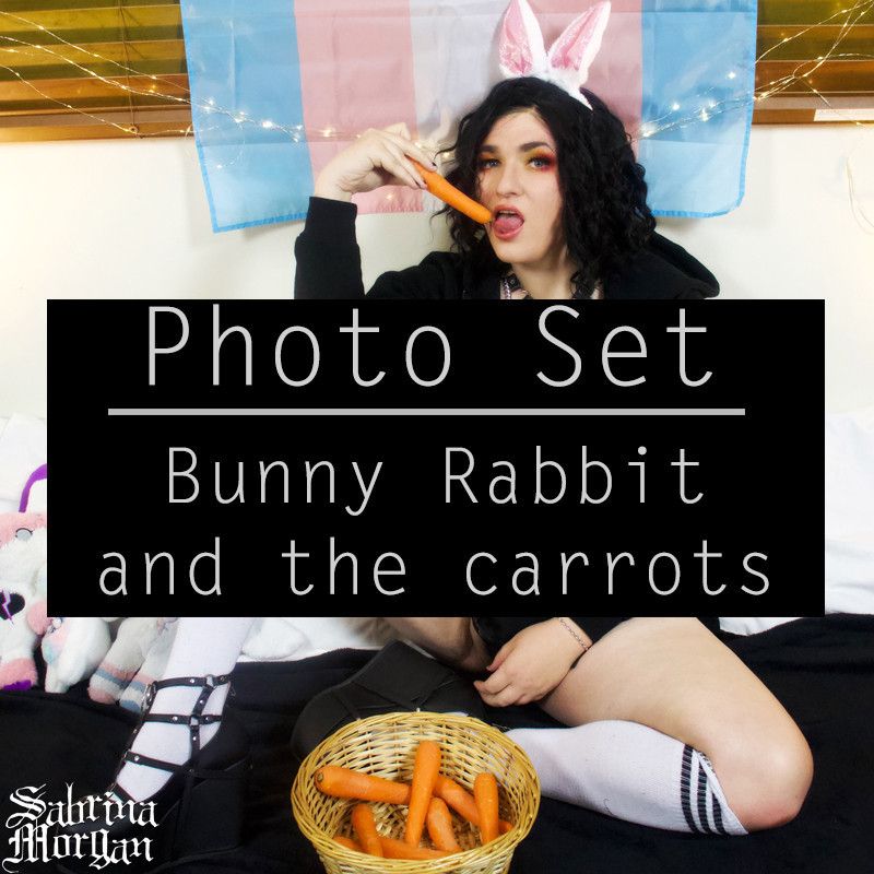 Photo Set: Bunny Rabbit and the carrots