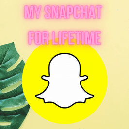 My snapchat for lifetime