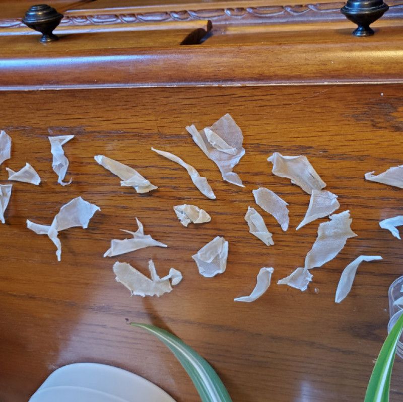 Large foot peel pieces