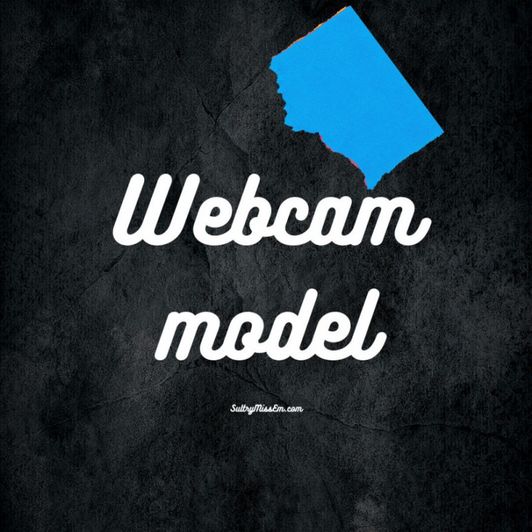 Webcam modelling