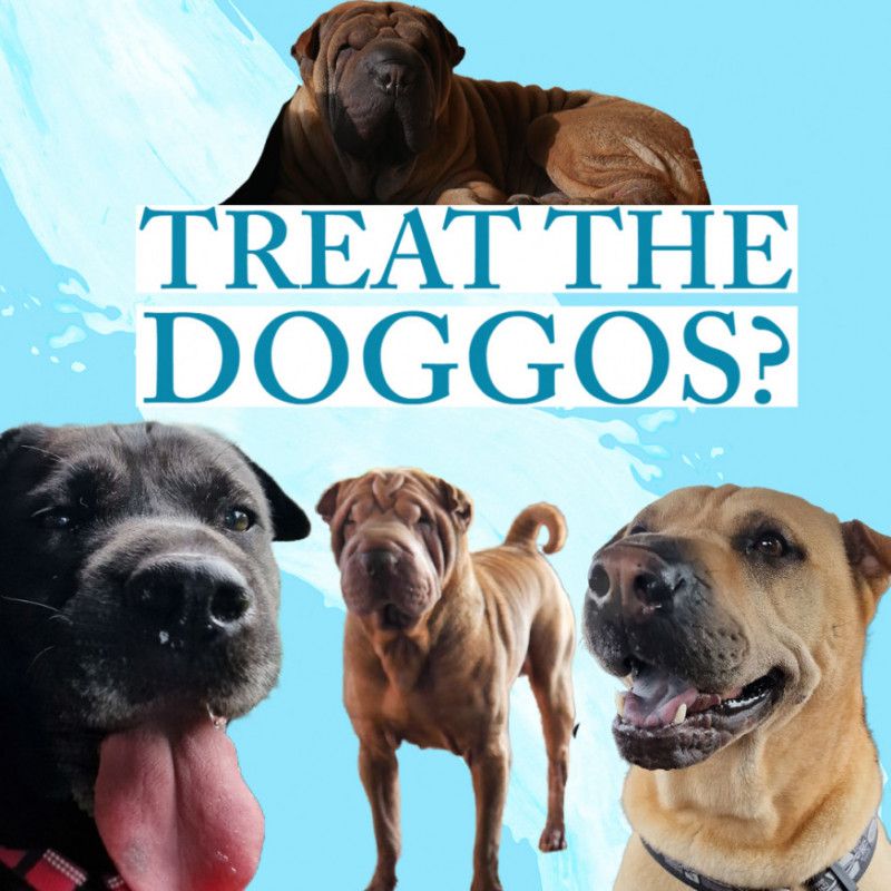 Treat The Doggos