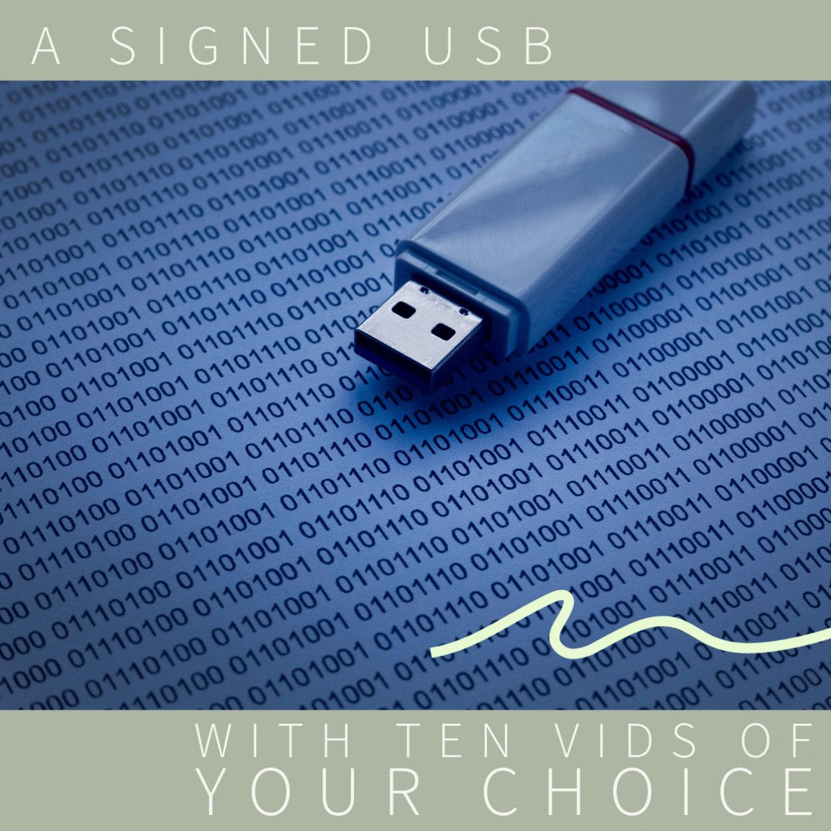 A Signed USB With 10 Vids Of Your Choice