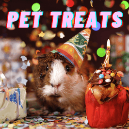 Pay Pigs Pay For Pet Treats