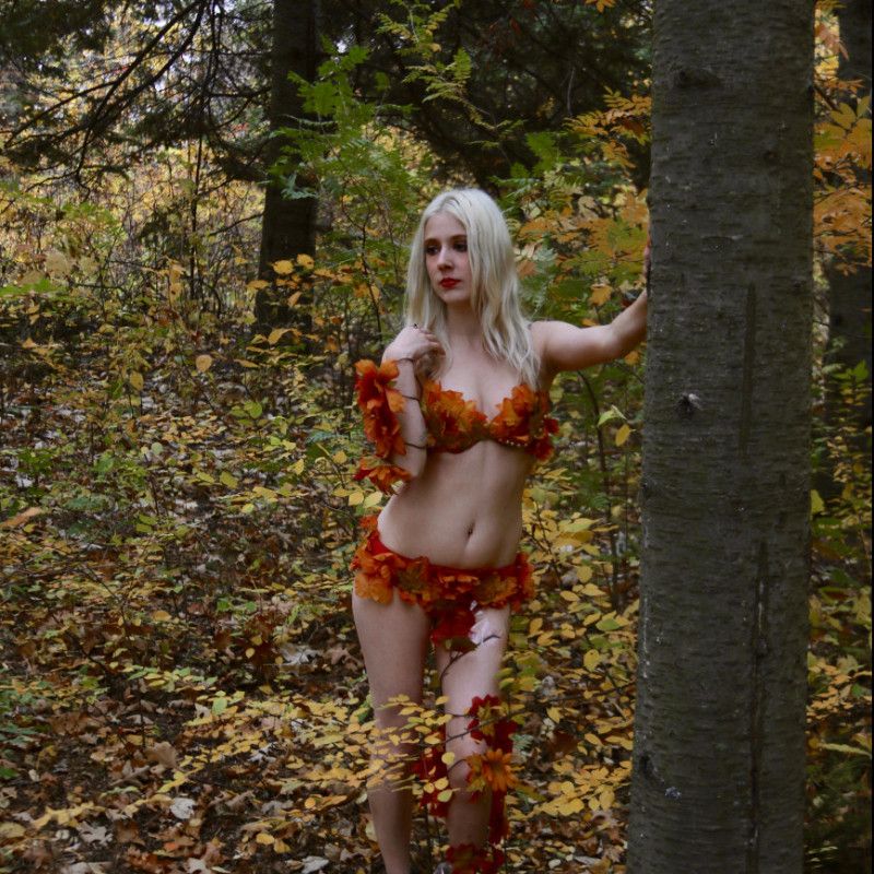 Autumn Poison Ivy Photo Set