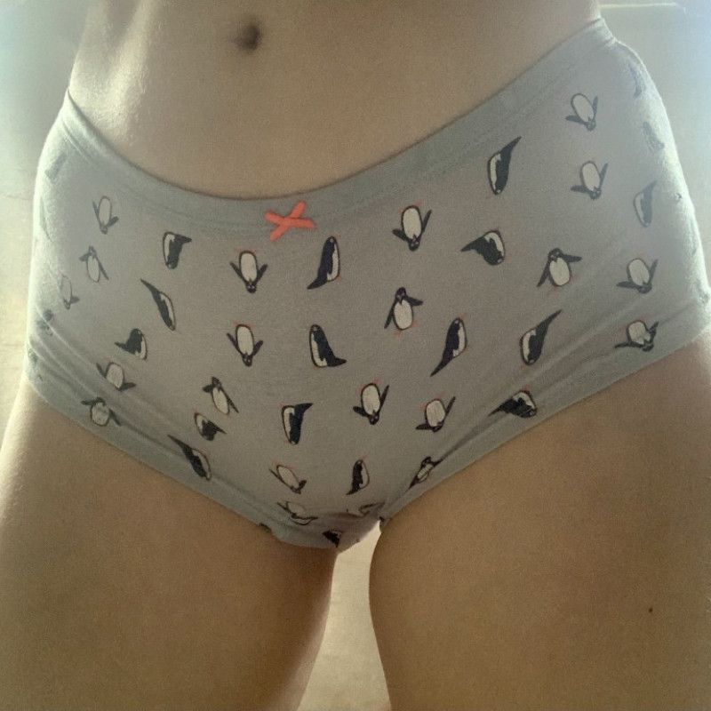 Blue penguin boyshort panties