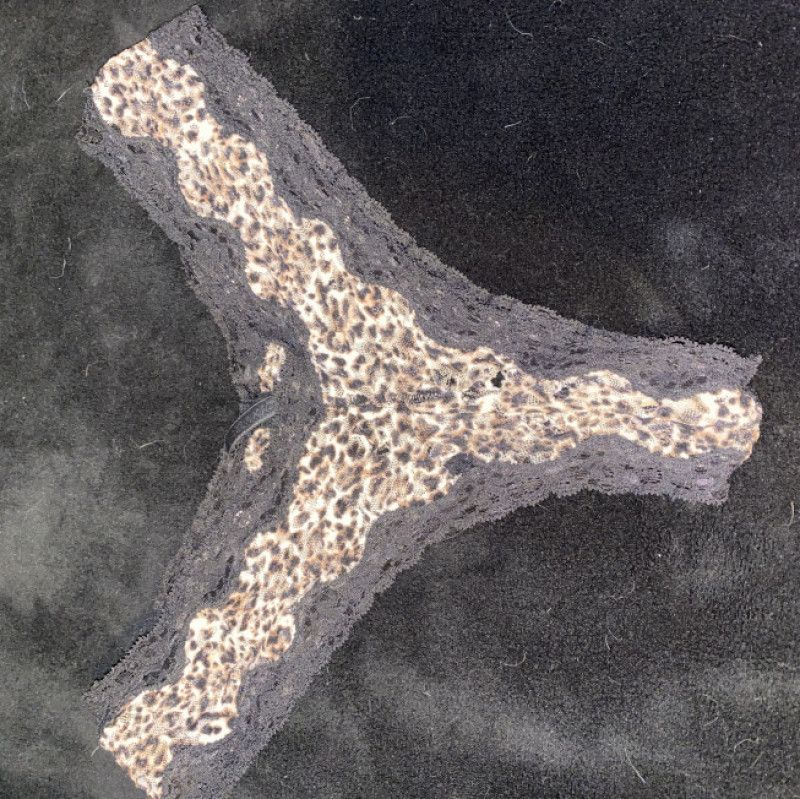 Torn leopard used panties