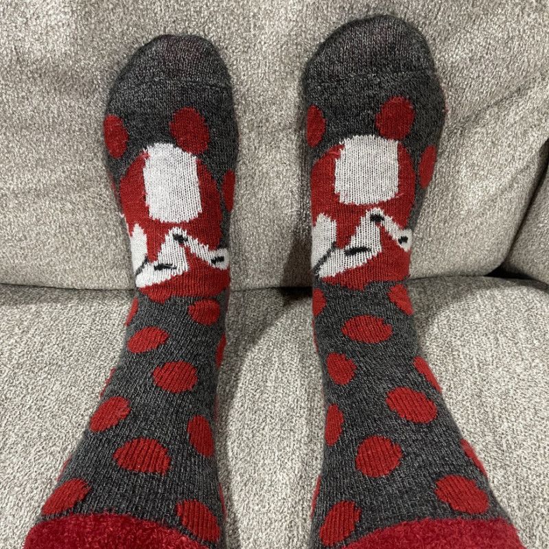 Fuzzy Red Fox Socks