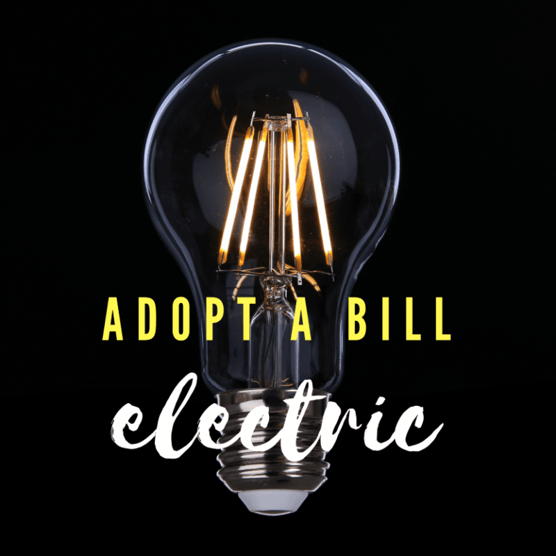 Electric Adopt A Bill