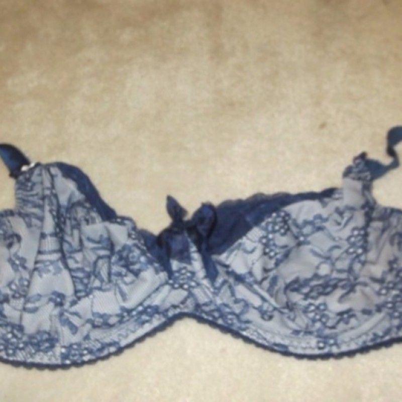 TAUPE AND BLUE BRA RIBBON AND PATTERN