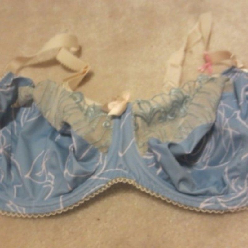 SKY BLUE AND TAN SHEER BRA