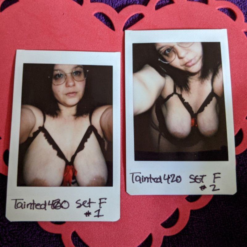 Polaroid Set F 2 photos