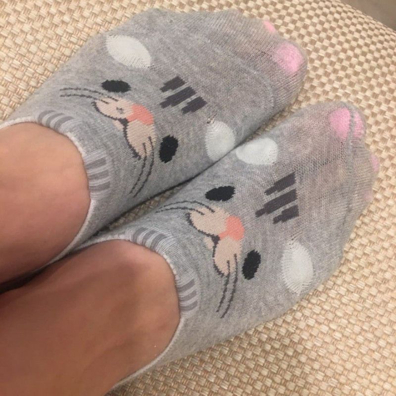 My kitten home socks