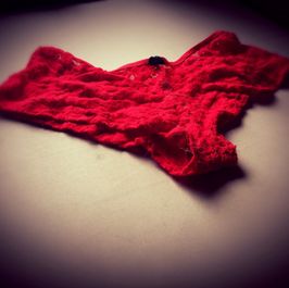 Sexy red lace panties