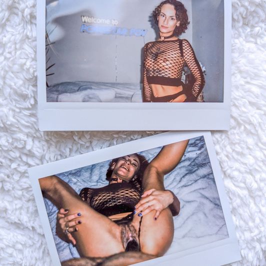 Pussy Kat Polaroid