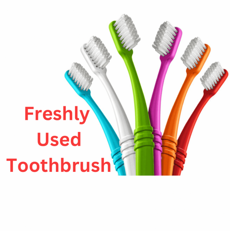 Freshly Used Toothbrush