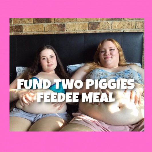 FUND TWO PIGGIES FEEDEE MEAL