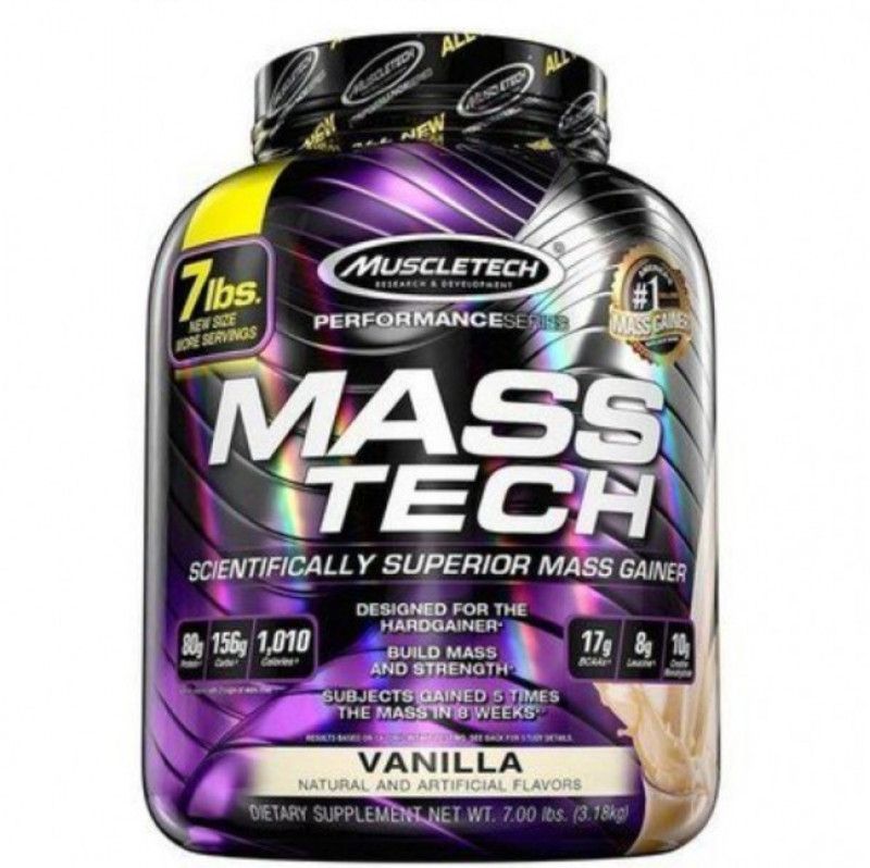 protein for muscle mass