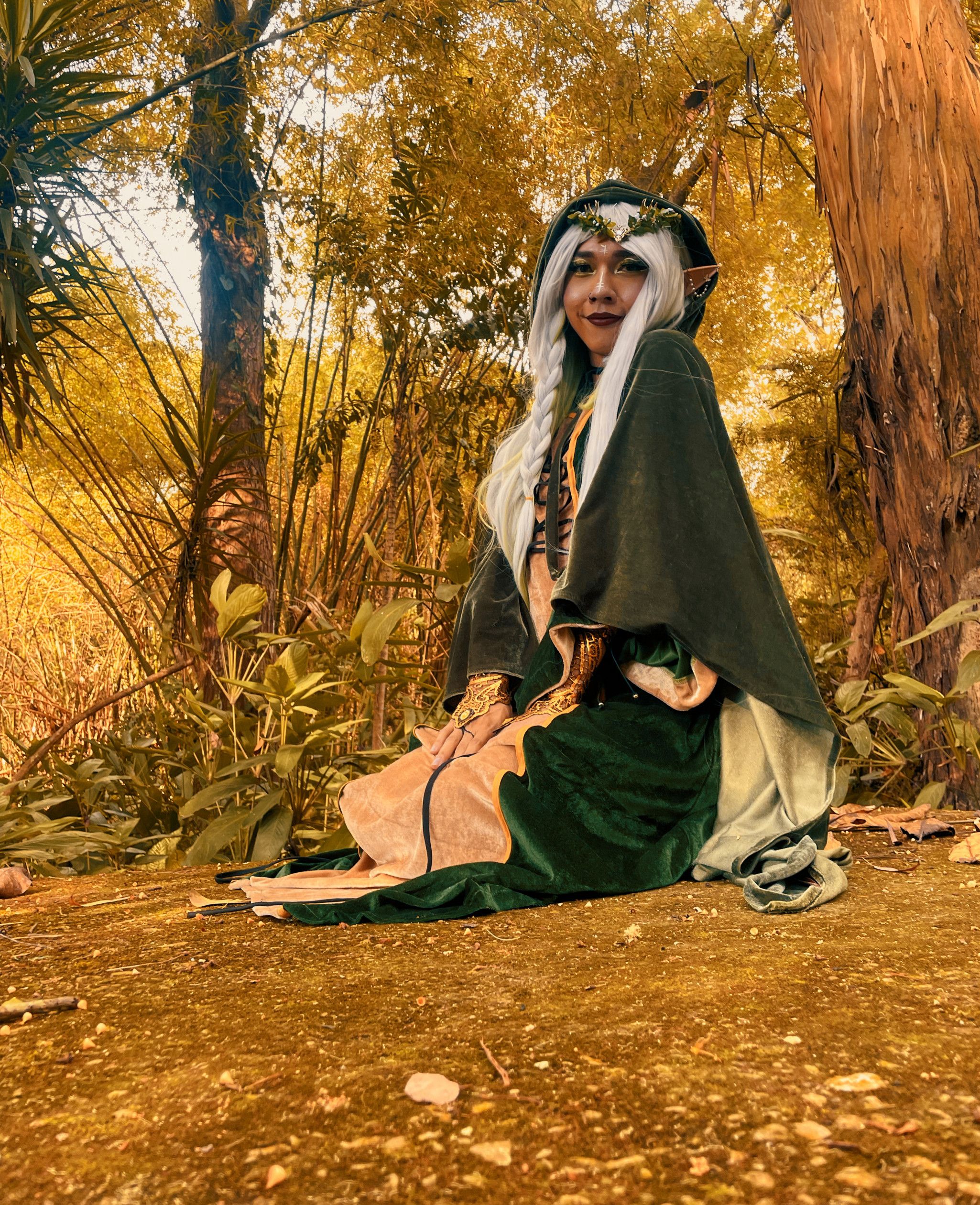 Complete set forest elf SFW