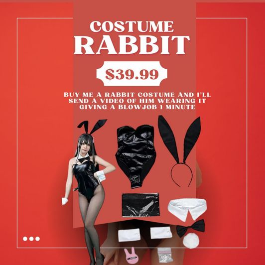 costume rabbit