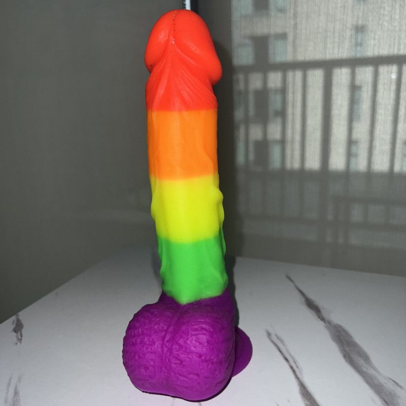 Used Rainbow Dildo