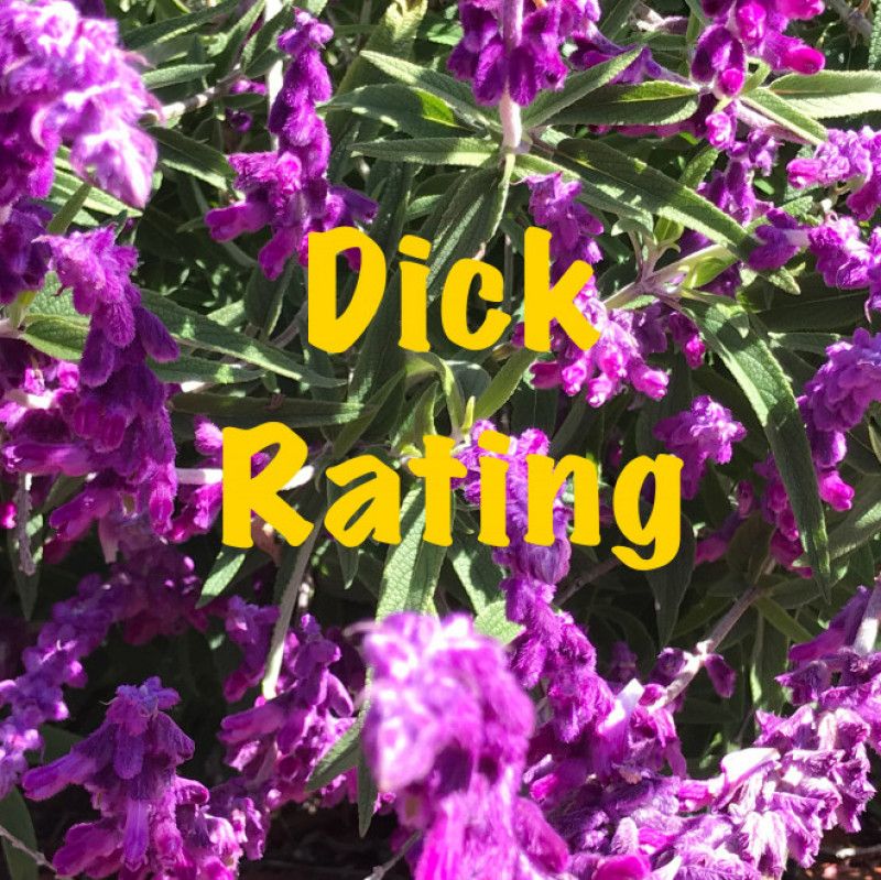 Dick Rating