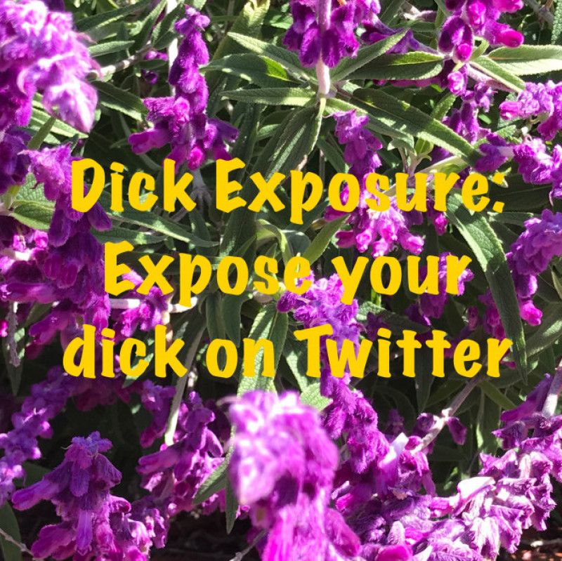 Dick Exposure