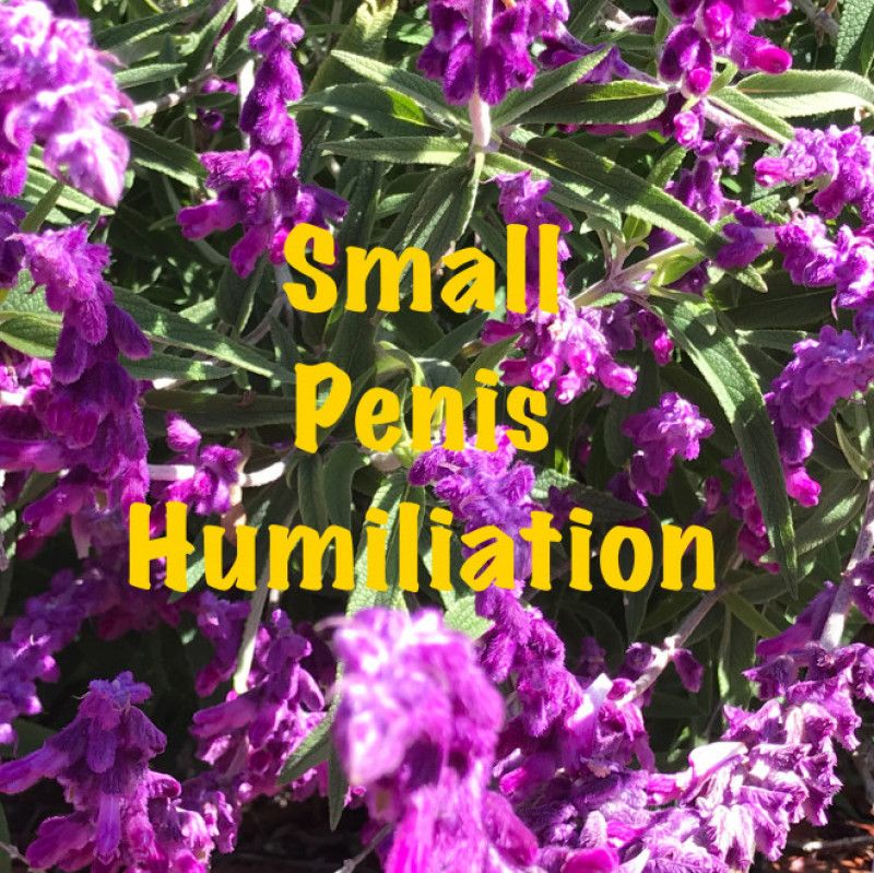 Small Penis Humiliation