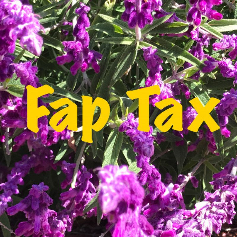 Fap Tax