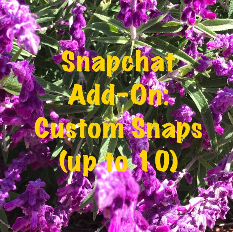 Snapchat Add On: Custom Snaps