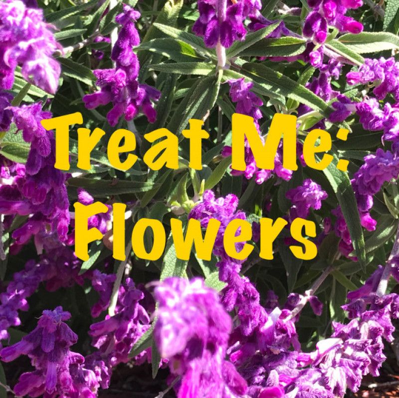 Treat Me: Flowers