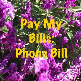 Pay My Bills: Phone Bill for 1 month