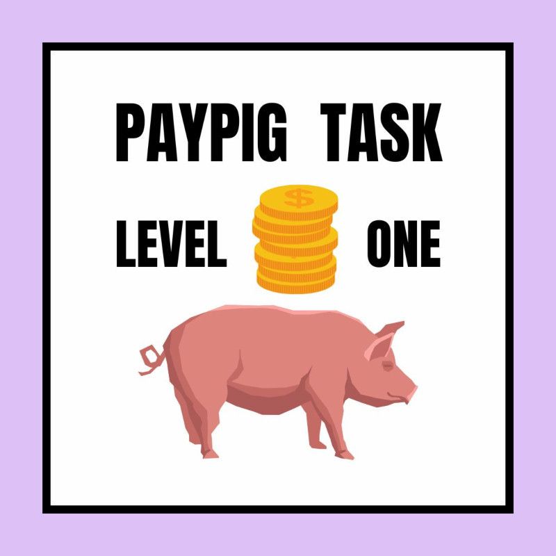 Paypig Task Level 1