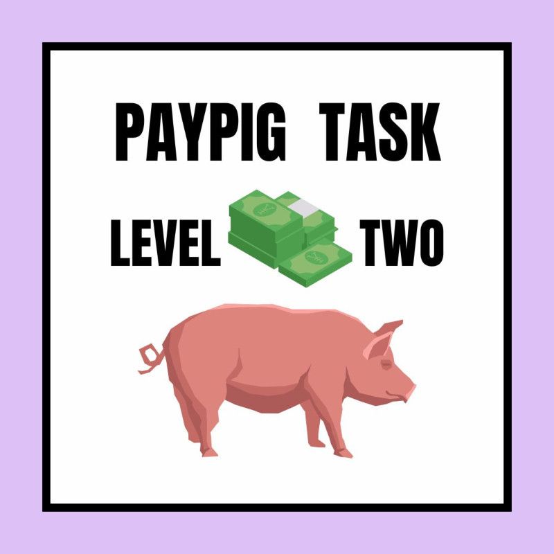 Paypig Task Level 2