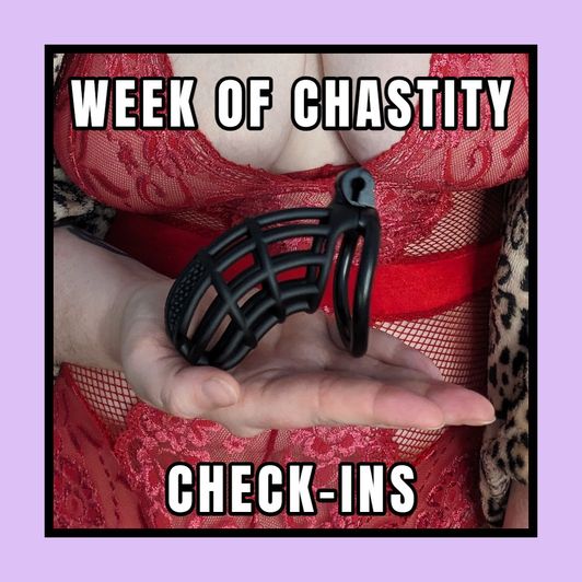 Week of Chastity Check Ins