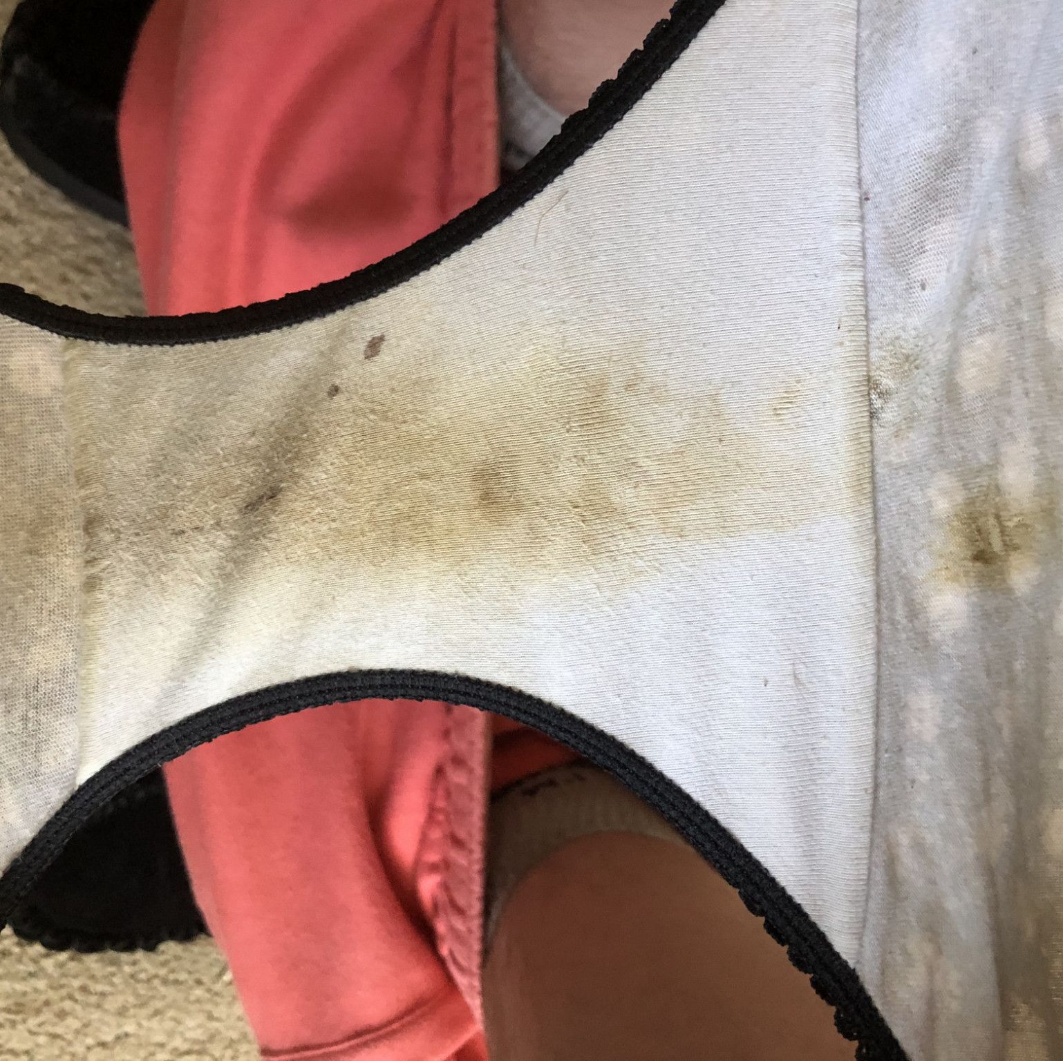 Old Stained Panties