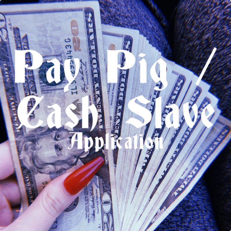 pay pig cash slave application