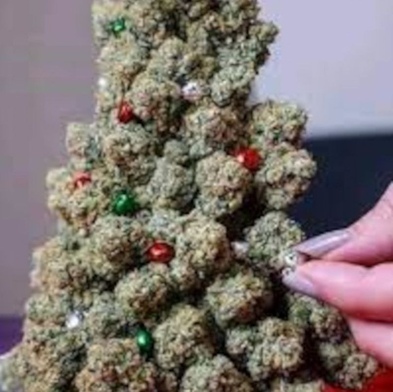 Buy Me One Of These Cute Little Christmas Trees