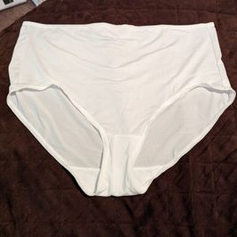 White Microfiber Brief Panties