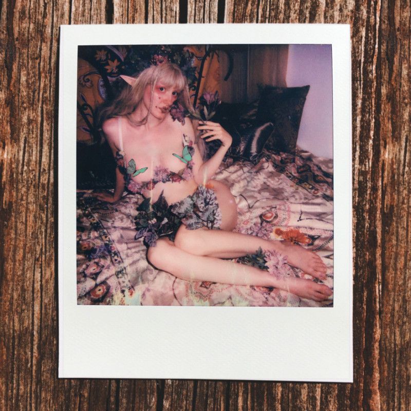 Fairy Polaroid