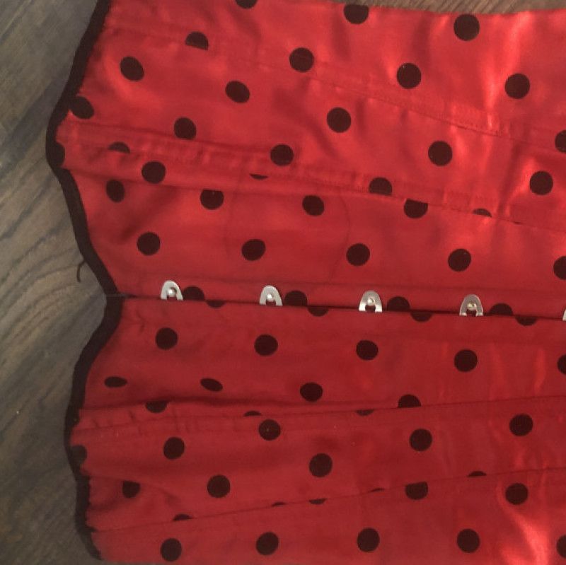 Red and Black Lady Bug Corset