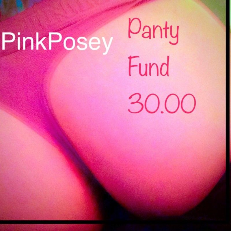 Vs panty fund