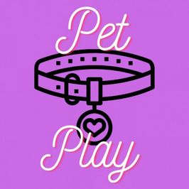 Interactive Pet Play Session