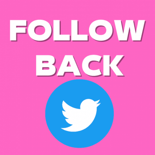 Follow Back Twitter