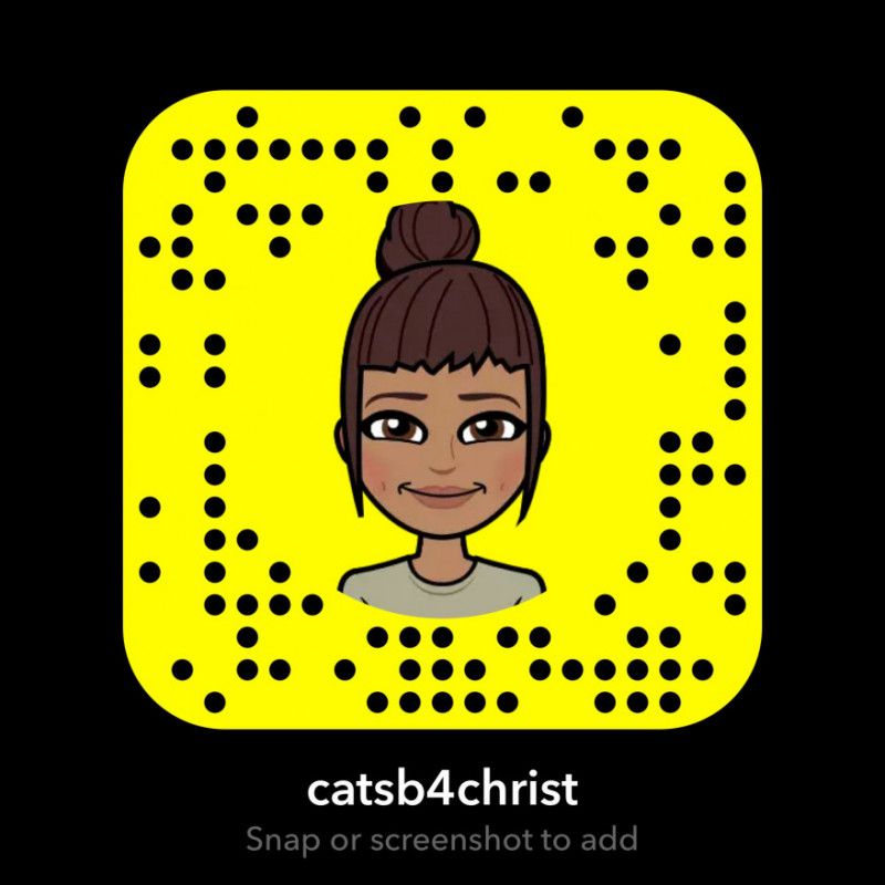 Pvt Snapchat Access