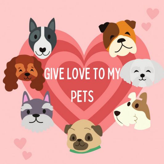 give love to my pets