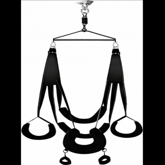 BELSIANG Adult Sex Swing: 360 Degree Spinning Indoor Swing